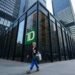 Toronto-Dominion has lost about C$10 billion ($7.3 billion) in market capitalization since the Journal reported the connection to the drug-money case