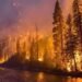 A wildfire burning dangerously close to Fort Nelson, B.C., has grown to more than 50 square kilometres