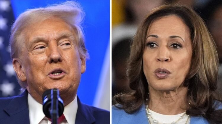 Harris and Trump offer worlds-apart contrasts on top issues in presidential race