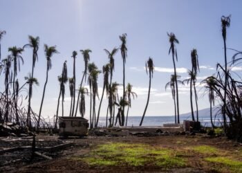 Parties in lawsuits seeking damages for Maui fires reach US$4B global settlement, court filings say