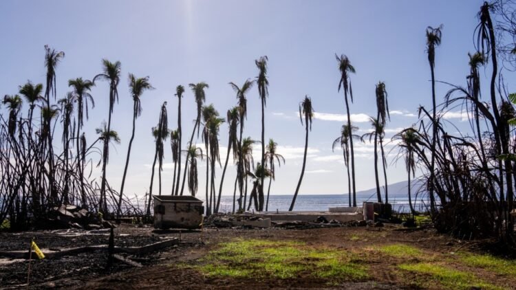 Parties in lawsuits seeking damages for Maui fires reach US$4B global settlement, court filings say