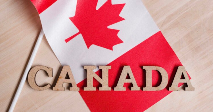 اداره مهاجرت: روند سخت‌تر دریافت مجوز تحصیل و کار 