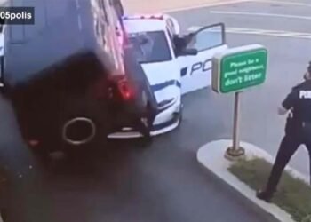 ‘Terrifying’: Suspect tries to drive over cruiser to escape after police surround stolen Bronco at Mississauga drive-thru