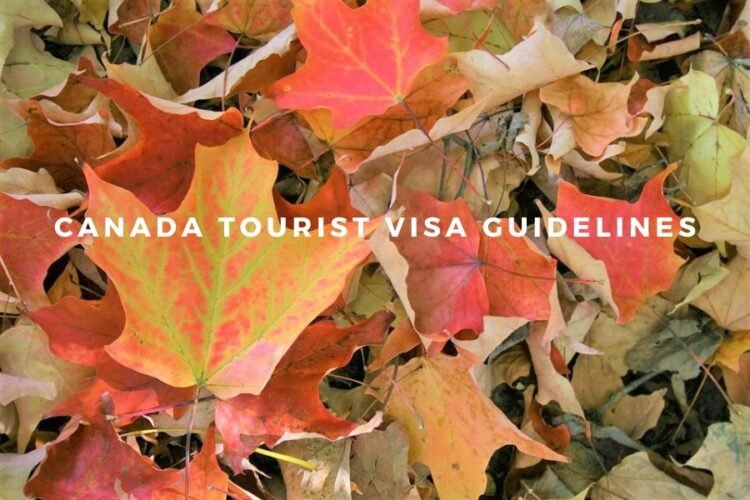 Extend the status of visitors in Canada