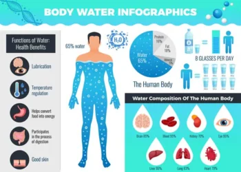 What is the role of water in the body and what are its functions?