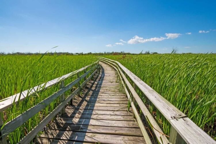 Manitoba: new pilot pathway to permanent residence