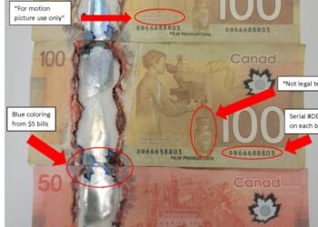 کشف بیش از ۱۰۰ هزار دلار اسکناس جعلی در مسیر کیپ برتون؛ محموله از چین ارسال شده بود