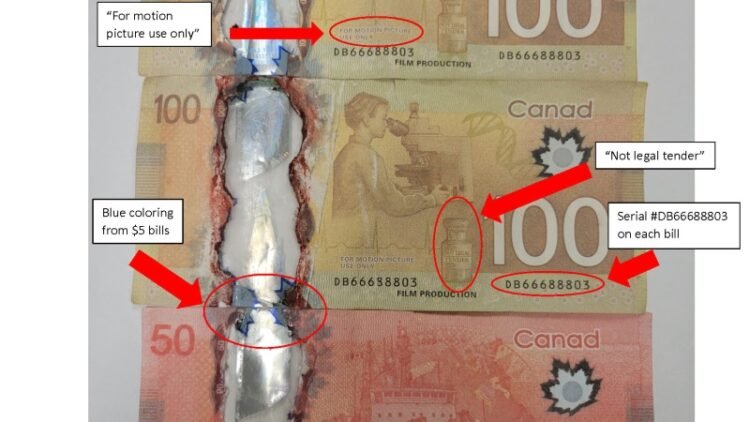 کشف بیش از ۱۰۰ هزار دلار اسکناس جعلی در مسیر کیپ برتون؛ محموله از چین ارسال شده بود