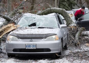 Ontario Ice Storms Leave Thousands Without Power as Crews Work Around the Clock