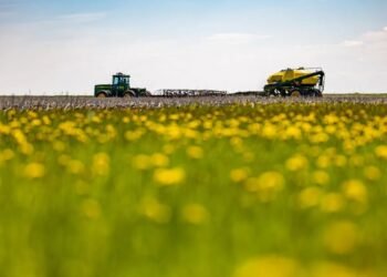Saskatchewan Farmers Face New Chinese Tariffs on Canola