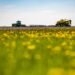 Saskatchewan Farmers Face New Chinese Tariffs on Canola