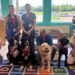 Moncton Dog Owners Join New Social Training Group