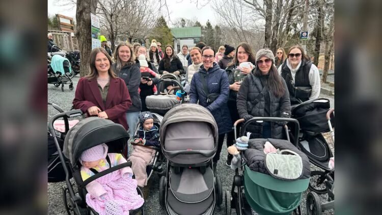 Mat Leave Moms: Building Community for Halifax Mothers