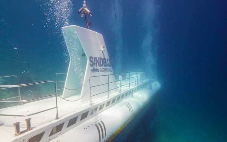 Six Killed as Tourist Submarine Sinks in Egypt’s Red Sea