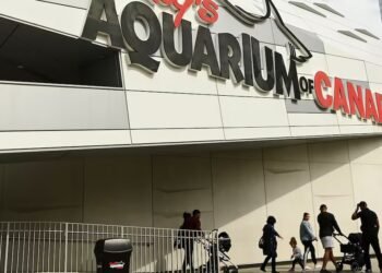 Easter Weekend Hours in Toronto: What’s Open and Closed