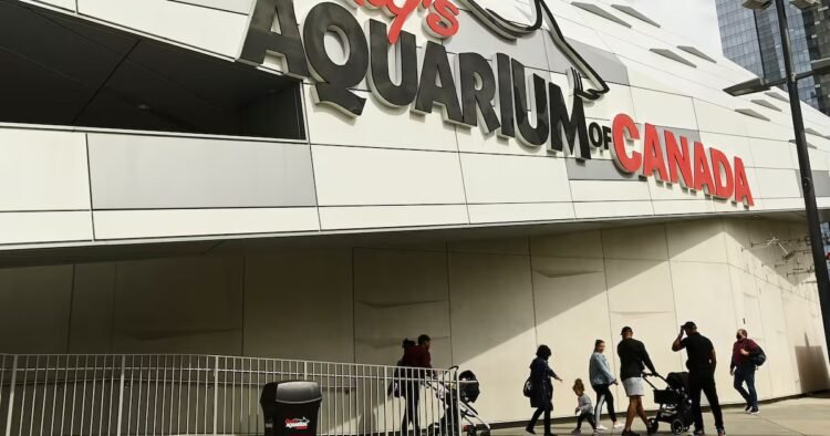 Easter Weekend Hours in Toronto: What’s Open and Closed