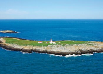 جزیره‌ای در مه: نبرد پنهان بر سر لابسترهای طلایی