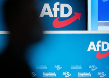 ضربه اطلاعاتی به AfD؛ نظارت امنیتی بر حزب جنجالی راست‌گرا آغاز شد