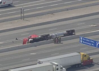 Trucker Killed in 401 Crash Involving Hazardous Cargo