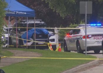 قتل بی‌رحمانه در پیکرینگ؛ نوجوان ۱۴ ساله متهم به جنایتی تکان‌دهنده شد