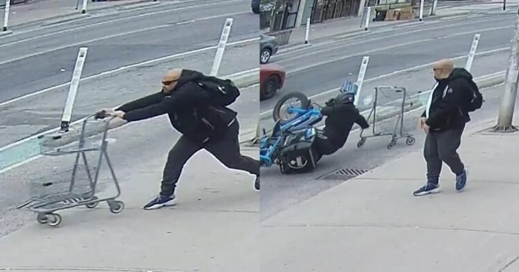 حمله با چرخ‌دستی در تورنتو؛ دوچرخه‌سوار نقش زمین شد