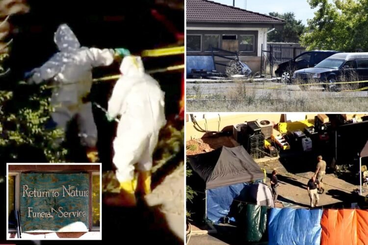 دروغ مرده‌شوی: چگونه یک خانواده، بزرگ‌ترین رسوایی صنعت کفن‌ودفن آمریکا را رقم زد