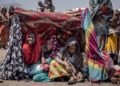 از سرگیری خدمات انگشت‌نگاری کانادا در سودان