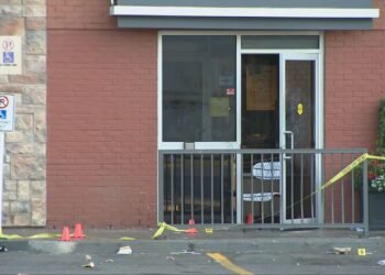 قتل نوجوان در پارک وودباین؛ پلیس تورنتو از شاهدان حادثه کمک خواست