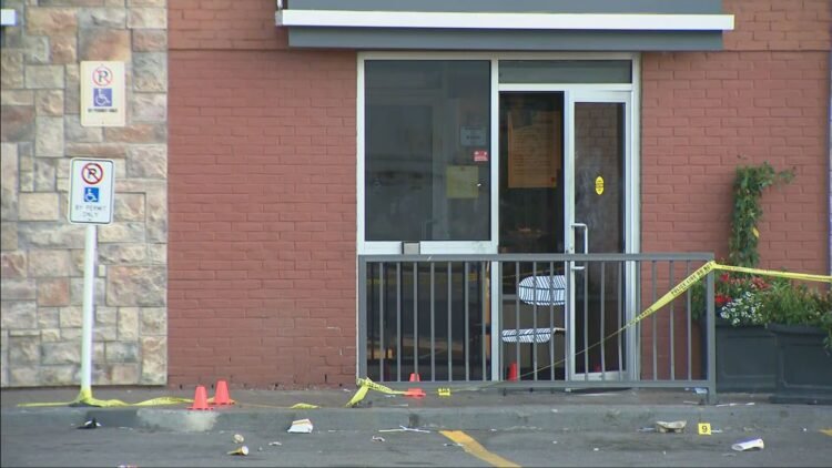 قتل نوجوان در پارک وودباین؛ پلیس تورنتو از شاهدان حادثه کمک خواست