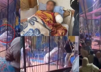 Tiger Attack Egypt Circus