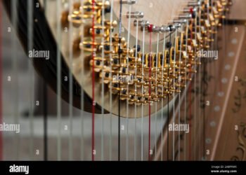 Music: The Wordless Language of Humanity