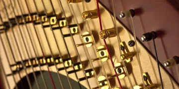 موسیقی؛ زبان بی‌کلام انسان