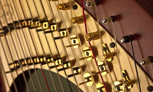 موسیقی؛ زبان بیکلام انسان