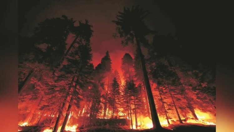 Canadian wildfire smoke