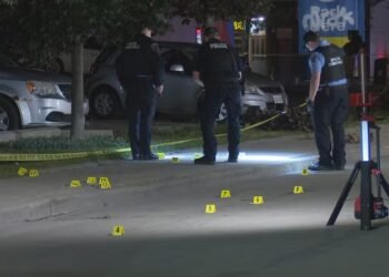 تیراندازی مرکز شهر همیلتون