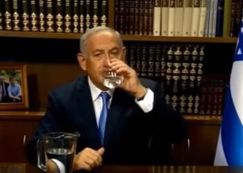 Netanyahu's call for protest