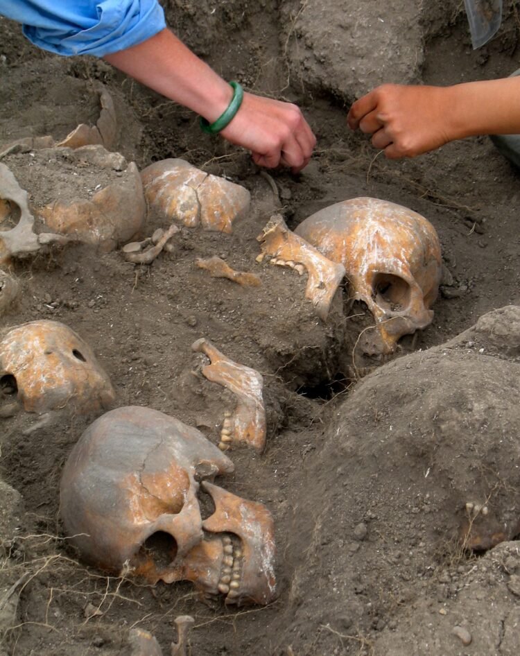 Severed human heads Mexico