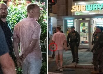 Subway Sandwich Assault DC