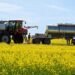 China canola tariffs