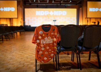 NDP leadership race 2026