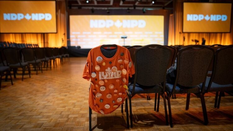 NDP leadership race 2026