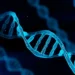 Fertility fraud DNA discovery