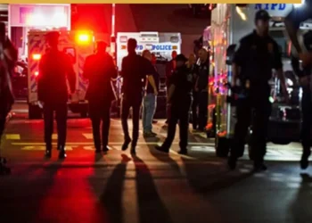 South Carolina Bar Shooting