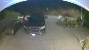 Bishnoi gang violence Canada