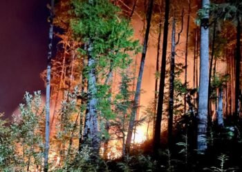 آتش سوزی جنگل های هیرکانی