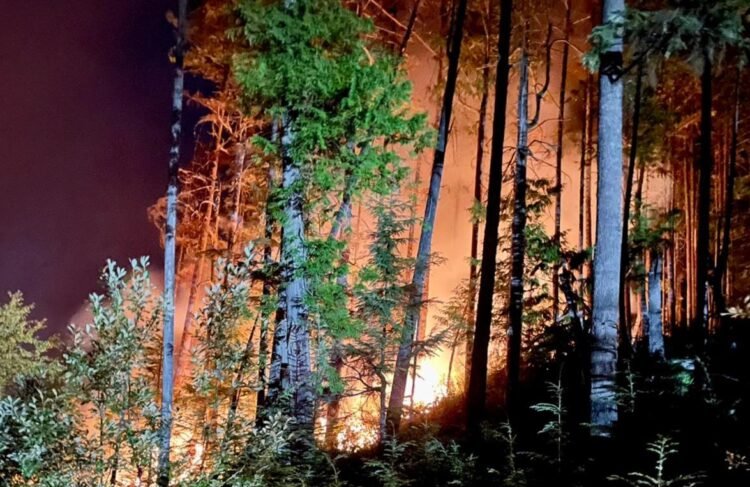 آتش سوزی جنگل های هیرکانی