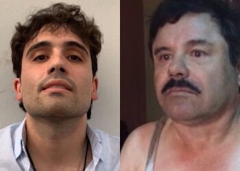 پرونده خانواده ال‌چاپو