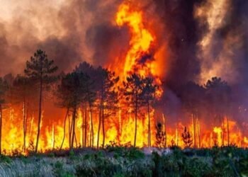 The Hyrcanian Fire Disaster