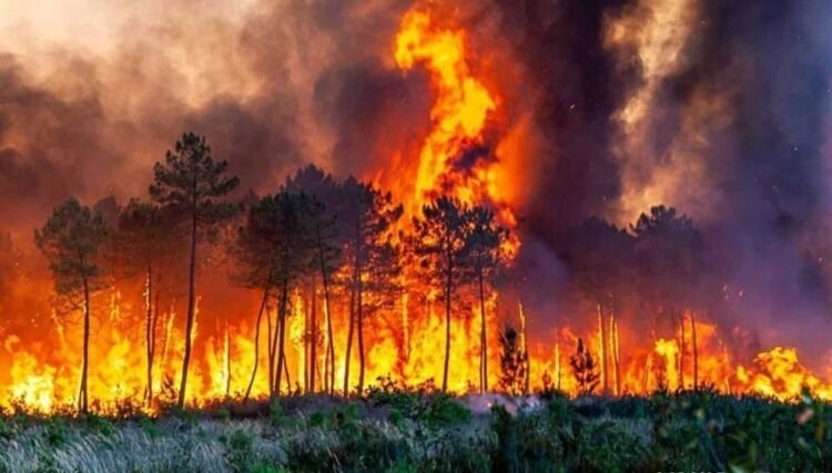 Hirkanian wildfire disaster