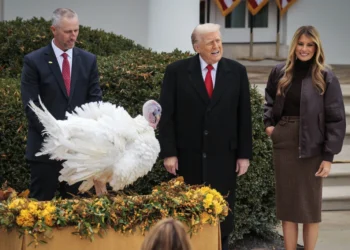 عفو بوقلمون ترامپ